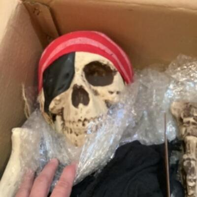 G - 1252. Halloween Pirate Skeleton 