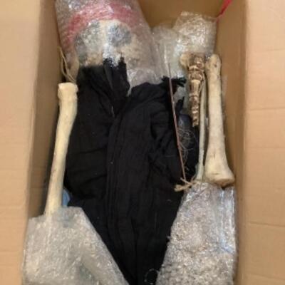 G - 1252. Halloween Pirate Skeleton 