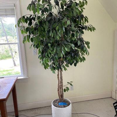 Lot 141 - Large Faux Ficus Tree
