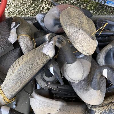 Lot 162 - Goose and Duck Decoys