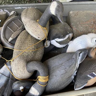 Lot 162 - Goose and Duck Decoys