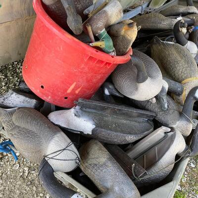 Lot 162 - Goose and Duck Decoys