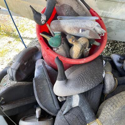 Lot 162 - Goose and Duck Decoys