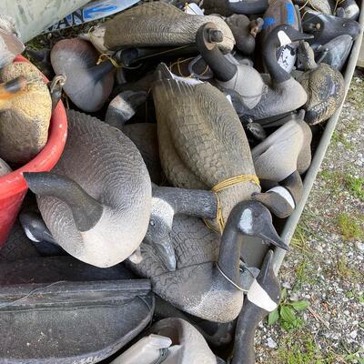 Lot 162 - Goose and Duck Decoys