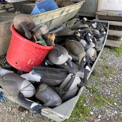 Lot 162 - Goose and Duck Decoys