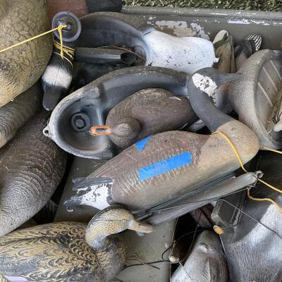 Lot 162 - Goose and Duck Decoys