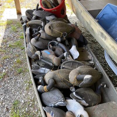 Lot 162 - Goose and Duck Decoys