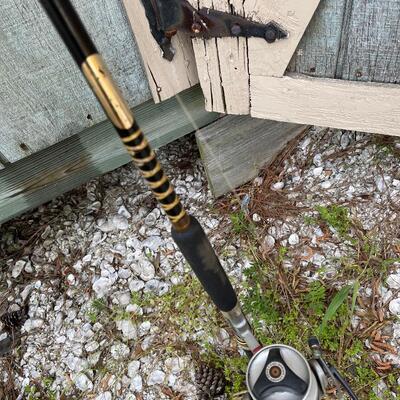 Lot 174 - Fishing Rods and Reels