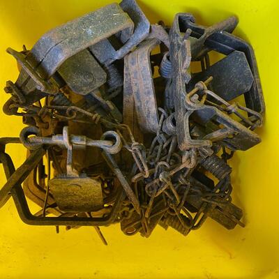 Lot 197 - Traps