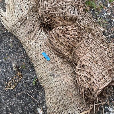 Lot 198 - Duck Blind Reeds