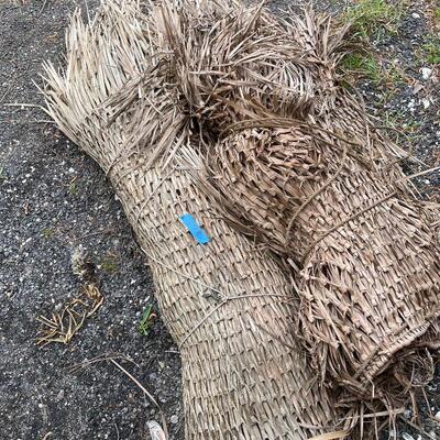 Lot 198 - Duck Blind Reeds
