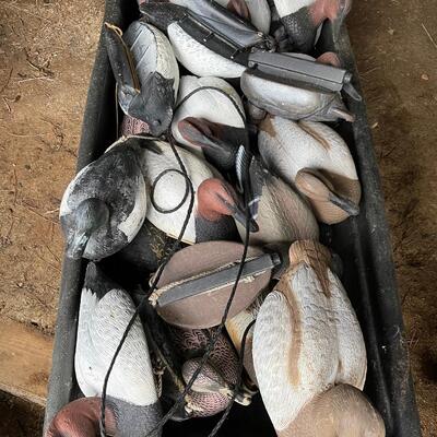 Lot 205 - Duck Decoys