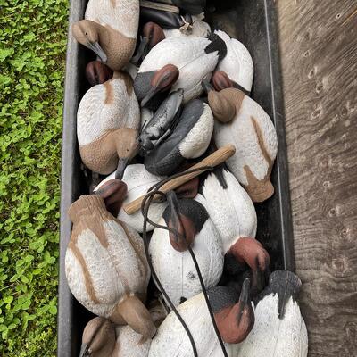 Lot 205 - Duck Decoys