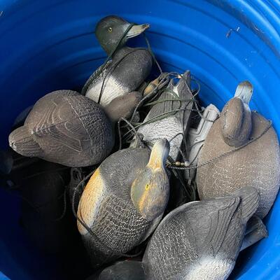 Lot 205 - Duck Decoys