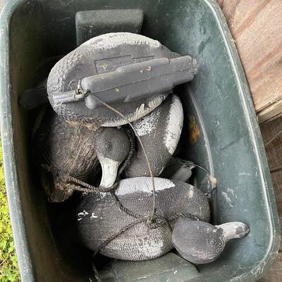 Lot 205 - Duck Decoys
