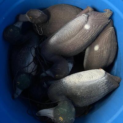 Lot 205 - Duck Decoys