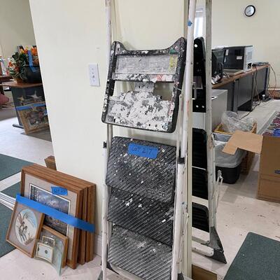 Lot 217 - Step Ladder