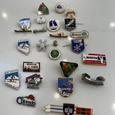Lot 252 - Pin Collection