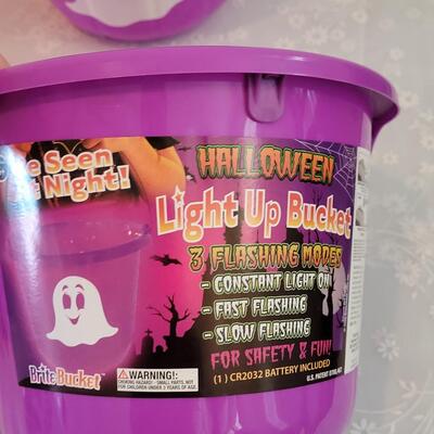 Lot 356: Light Up Halloween Buckets 
