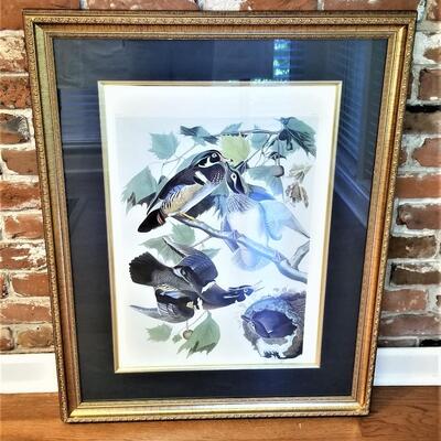 Lot #84  Audubon Print "Summer of Wood Duck"  Plate 106, No. 42