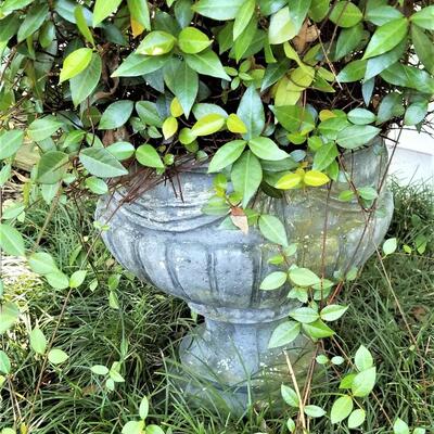 Lot #113  Pair Vintage Concrete Planters - Urns