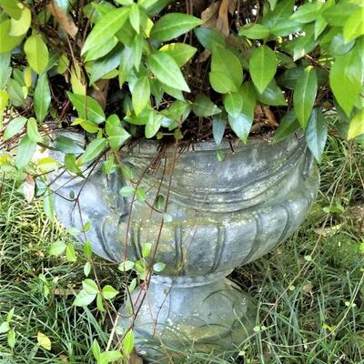 Lot #113  Pair Vintage Concrete Planters - Urns