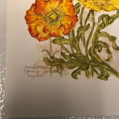 Lot 102 - Floral Bouquet Post Cards