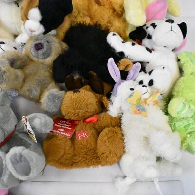 22 Various Stuffed Animal Toys