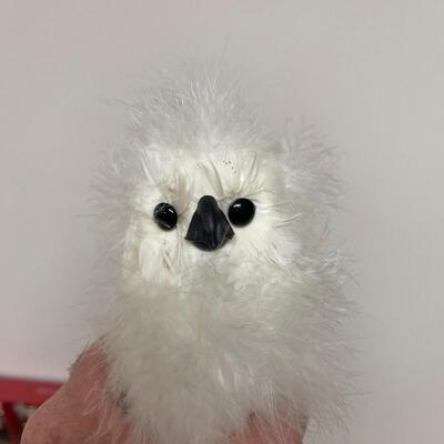 #298 B Christmas Decorations Include Snowy Owl Chicks