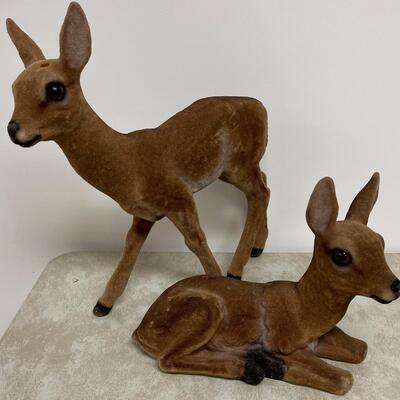 #308 B No Antler Deer's, Velvetish. 
