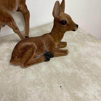 #308 B No Antler Deer's, Velvetish. 
