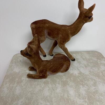 #308 B No Antler Deer's, Velvetish. 
