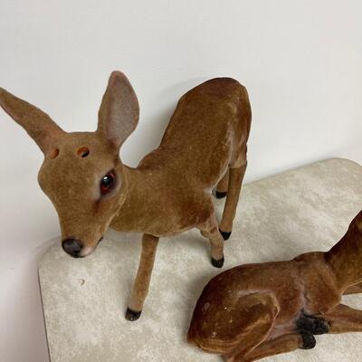 #308 B No Antler Deer's, Velvetish. 