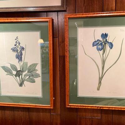 Lot 57 Pair Botanical Prints Framed Under Glass