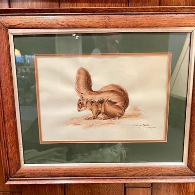 Lot 58 Squirrel  by Jacques Carter Framed Under Glass