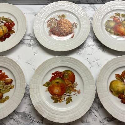 Lot 68 Hutschenreuther 6 Fruit Plates German Transferware