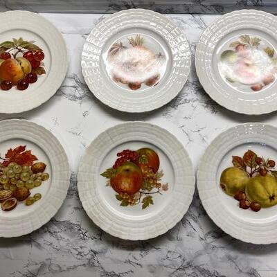 Lot 68 Hutschenreuther 6 Fruit Plates German Transferware