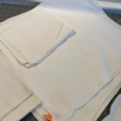 #520 Colored Embroider Table Cloth & Napkins