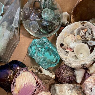 #533 Shells Rocks and Glass 