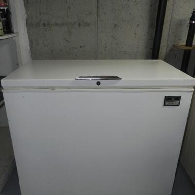 LOT 16 FREEZER CHEST