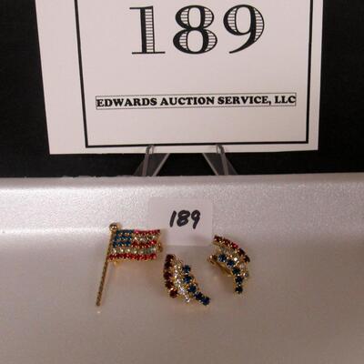 Patriotic Themed Pin and Earrings