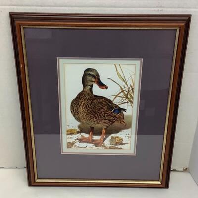 D1181 Peter Hanks Signed Framed Duck Watercolor 