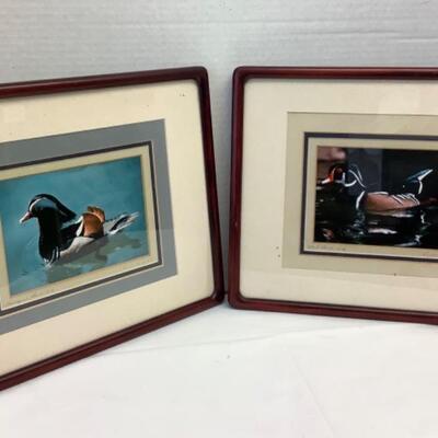 D1182 Two Signed Framed Harlequin Duck and Wood Duck Photographs