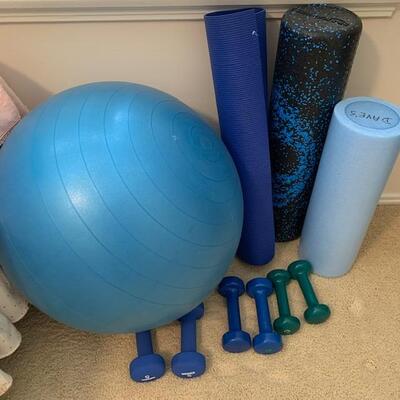 Lot 232 Group Workout Equipment Balance Ball Foam Rollers Hand Weights