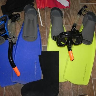 LOT 110 SNORKELING 