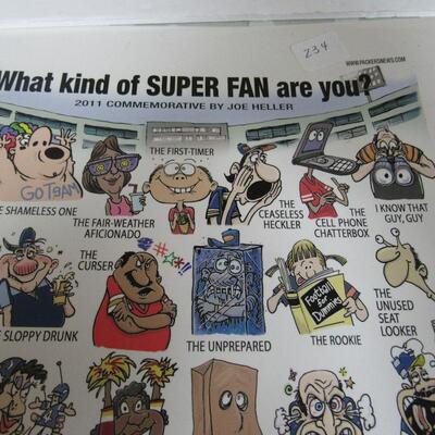 Too Funny!  Check it Out!  What Kind of Super Fan Are you?  Laminated Poster 11 x 22 