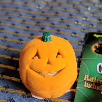 Lot 251: Pumpkin Earrings and Necklace & Costume Reflector