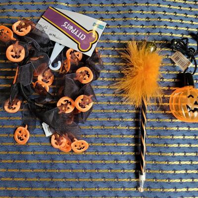 Lot 257: Halloween Pen, Cat Halloween Collar and Bubble Container Necklace 