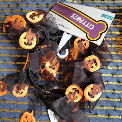 Lot 257: Halloween Pen, Cat Halloween Collar and Bubble Container Necklace 