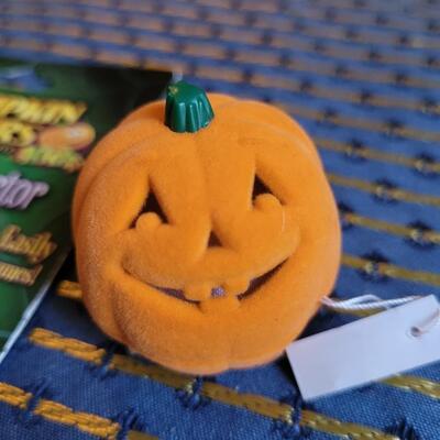 Lot 269: Pumpkin Necklace & Earrings and Costume Reflector 